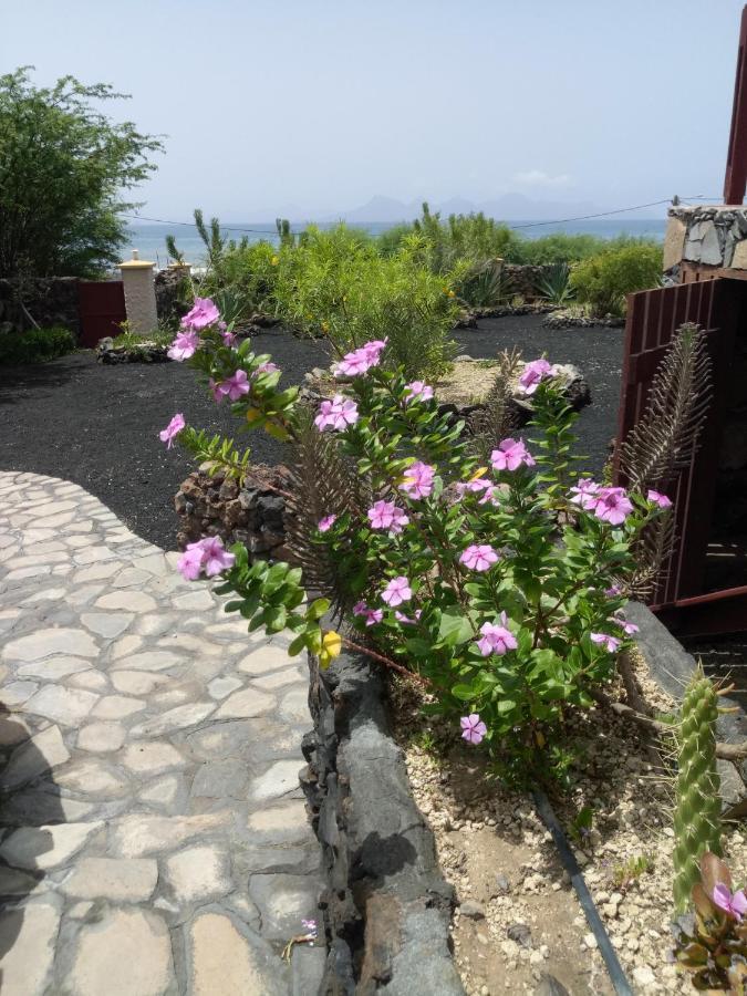 Coin De Paradis,Pavillon Doucimar Porto Novo 外观 照片